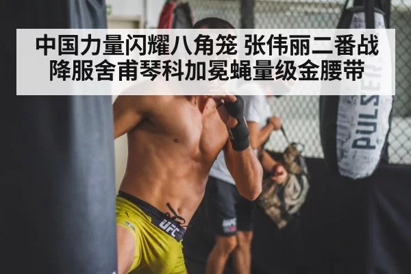 中国力量闪耀八角笼 张伟丽二番战降服舍甫琴科加冕蝇量级金腰带